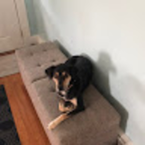 Meet your Posher, Katherine - Picture 1 of 1